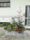Apartamento Caterina House