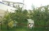 Agroturismo Le Luxtral H�tel