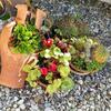Bed & Breakfast La Dimora Degli Artisti