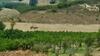 Bed & Breakfast La Dimora Degli Artisti