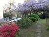 Bed & Breakfast Swanlake Rooms