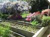 Bed & Breakfast Swanlake Rooms
