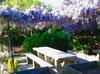 Bed & Breakfast Swanlake Rooms