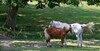 Bed & Breakfast Domaine Le Muret