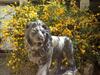 Bed & Breakfast Le Clos De Lucie