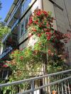 Apartamentos Kernerapartement