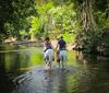 Hotel Tambor Tropical Beach Resort