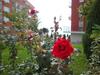 Apartamento Panorama Fort Noks Cts