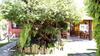 Hostal Encanto�s Pousada