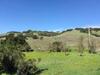 Amitabha Wine Country Cottage