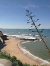 Bed & Breakfast Capit�o Guest House