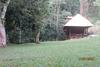 Ebano Verde Waterfall And Ecolodge