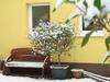 Apartamentos Wellness-ferienhof Am Rebgarten