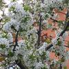 Apartamentos Wellness-ferienhof Am Rebgarten