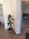 Apartment D�sseldorf Zentrale Lage