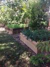 Eumundi Guesthouse And B&B