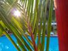 Mission Beach Hideaway Holiday Village