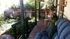 Abelia Cottages Botanical