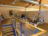 Apartamento Sportpark Fischen Ferienwohnung