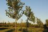 Lodge Aldea Amedo