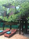 Apartamento La Casa Del Arbol
