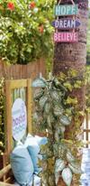 Casa De F�rias Noronha