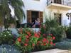 Bed & Breakfast Wild Flower