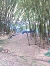 Finca Hotel El Turin