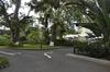 Apartamento Acqua Residences 503