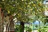 Hostal Guest House Fortuna