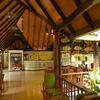 Hotel Paradise Island Resort & Spa