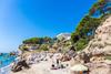 Pino Alto Villas Gallo