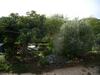 Bed & Breakfast C�t�-vignes Chambre D'h�tes