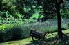 Bastide Le Mourre