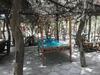 Hotel Jungle Beach Resort