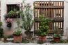 Bed & Breakfast Buonocore Guesthouse