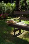 Bed & Breakfast Villa Signori