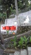 Hostal Lotus Guesthouse