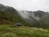 Dhanaulti Camp Homes And Retreat