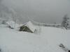 Dhanaulti Camp Homes And Retreat