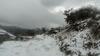 Dhanaulti Camp Homes And Retreat