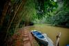 Hotel Bamboo Creek Resort