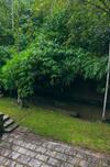 Hotel Bamboo Creek Resort