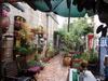 Cozy Garden