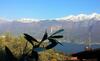 Apartamento Ulivi Sul Garda