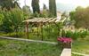 I 99 Olivi