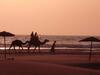 Bed & Breakfast Sidi Kaouki Al Vent