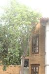 Posada Hacienda Maria Elena