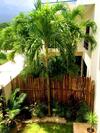 Paradise In Tulum - Villas La Veleta - V2