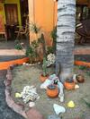 Hostal Leo's Baja Oasis